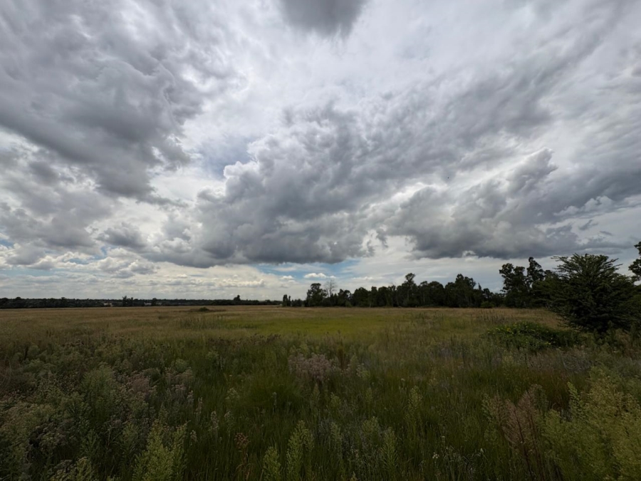 0 Bedroom Property for Sale in Vaalpark Free State